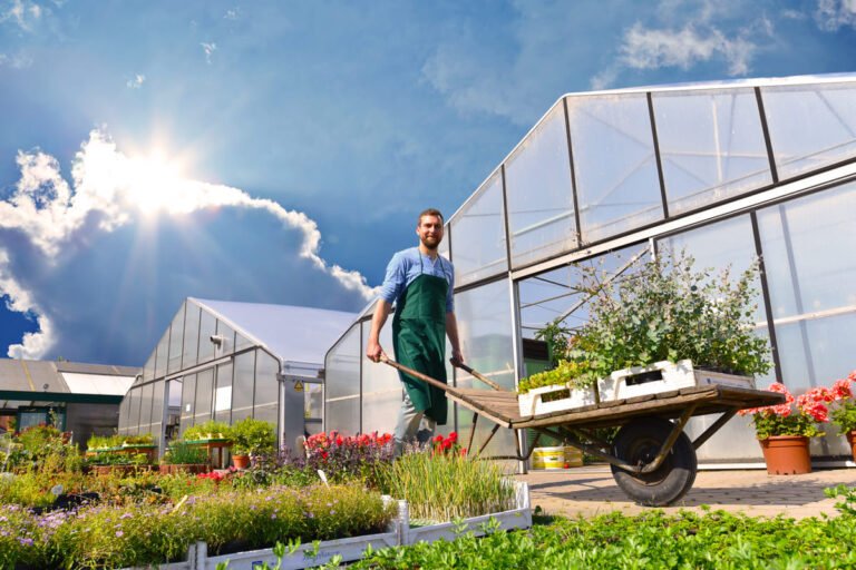 Lire la suite à propos de l’article Horticulteur Roumain : Artisan de la Terre et Gardien de la Diversité Végétale